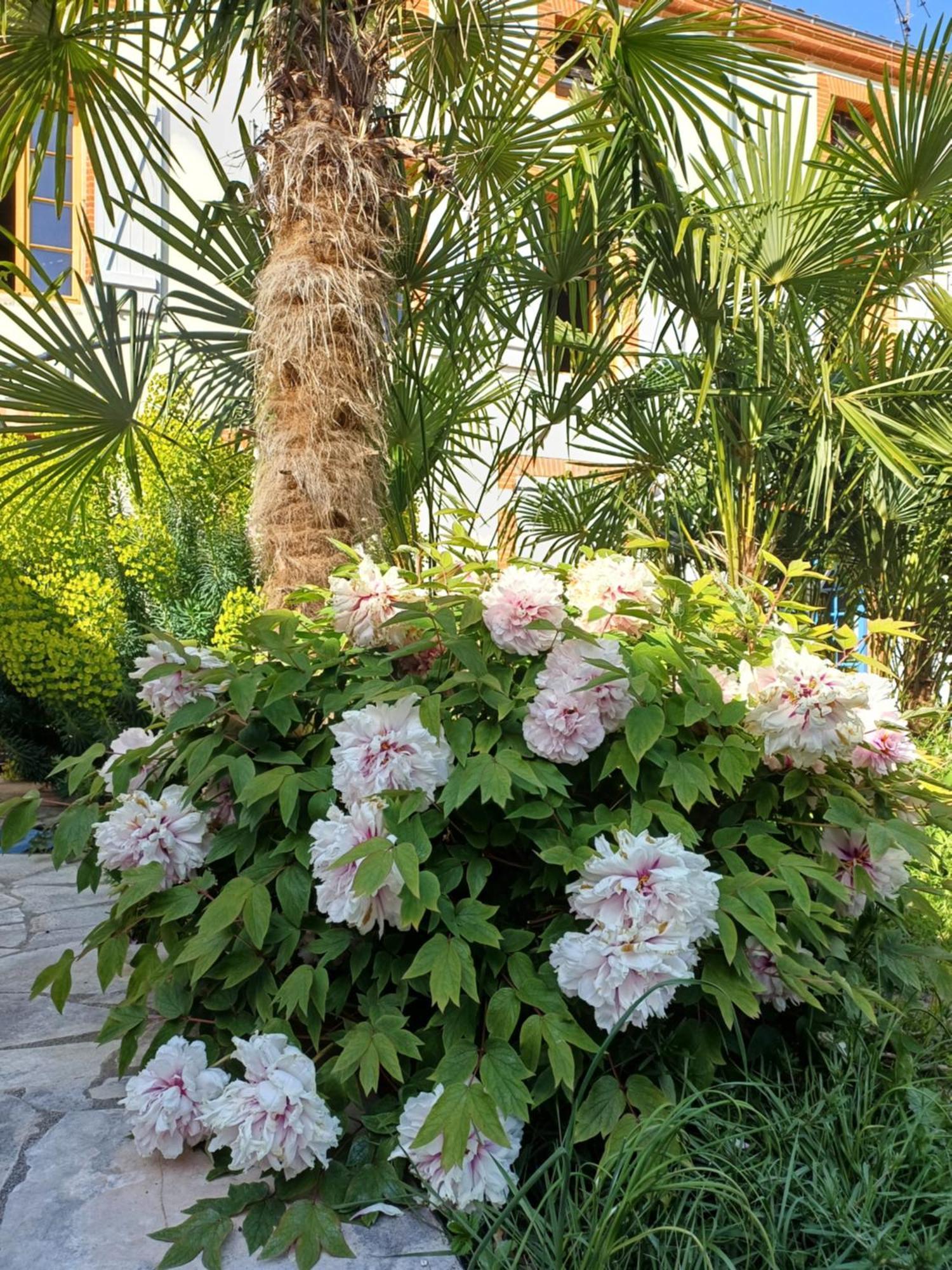 Le Relais De Lezat Ξενοδοχείο Εξωτερικό φωτογραφία